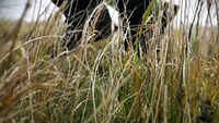 Wechselokular S2, Meopta