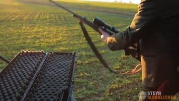 Repetierstutzen CL II mit Visier, Steyr Arms
