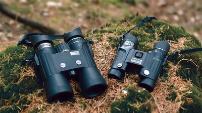 Fernglas Wildlife 8x42, Steiner