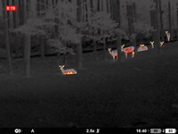 Wärmebildgerät Oryx LRF XG35, Pulsar