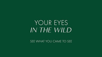 Fernglas CL Companion 3.0 8x30, Swarovski Optik