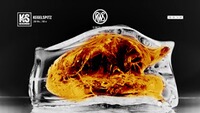 Geschosse .366 16,0g/247grs. KS, RWS