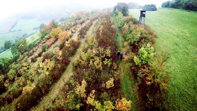 Dreibein-Sitzstuhl Trioled, GASTROCK