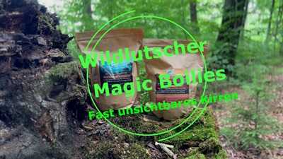 Magic Boilies Nr.2 Topinambur, Wildlutscher