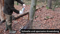 Lockmittel No 1 Suhlengold® Version 2017, AttraTec