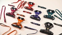 Halsband Front Range®, Ruffwear