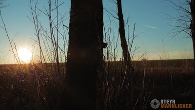 Repetierbüchse Classic II Goiserer, Steyr Arms