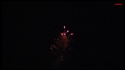 Signaleffekt 15mm T.F. Pfeifpatronen 50 teilig, Umarex