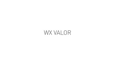 Brille WX Valor 2.5, WileyX