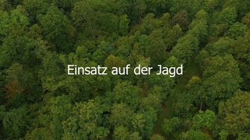 Repetierbüchse Jaeger NXT Composite links, Haenel