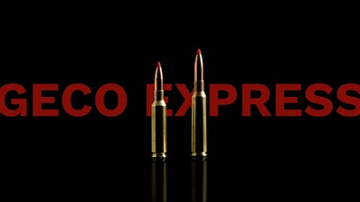 .243 Win. Express 4,9g/76grs., Geco