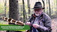 Universalblatter, Weisskirchen