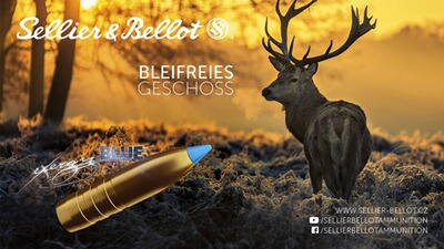 .308 Win. tipped eXergy blue 10,7g/165grs., Sellier & Bellot