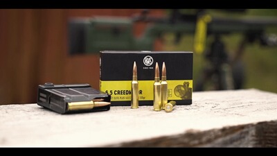.308 Win. Scorion 10,9g/168grs., RWS