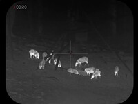 Wärmebild Zielfernrohr Night Arrow 335Pro, CONOTECH