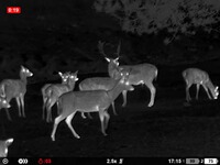 Wärmebildgerät Oryx LRF XG35, Pulsar