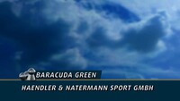 6,35mm Diabolo Baracuda Green 1,29g, Haendler & Natermann