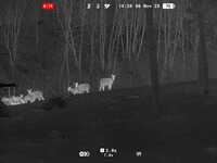 Multi-Spektral Fernglas Symbion LRF DXT50, Pulsar