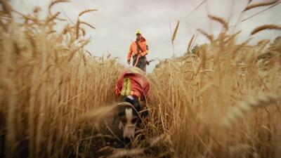 Jagdjacke Hatz-Watz Waterproof, Parforce Protective