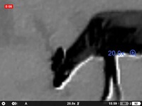 Wärmebildgerät Oryx LRF XG35, Pulsar