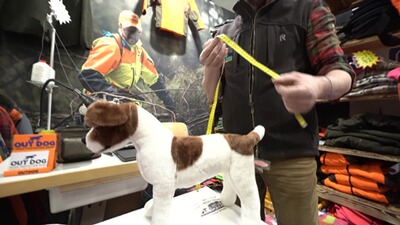 Hundeschutzweste Standard, Out Dog