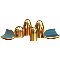 Geschosse .309 Vlm 4,7g/73grs, Sellier & Bellot