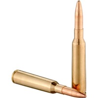 6,5x55 Vollmantel 9,1g/140grs., Sellier & Bellot