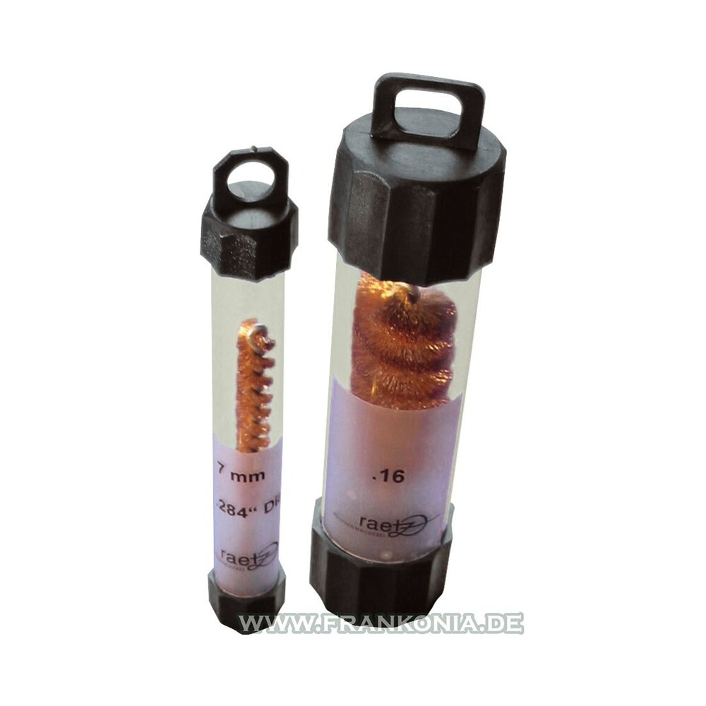 Bronze-Bürste, Raetz