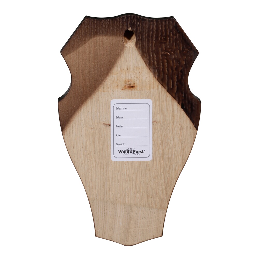 Trophäenschild Gams, Wald & Forst
