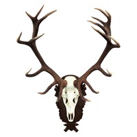 Trophäenschild Hirsch, Wald & Forst