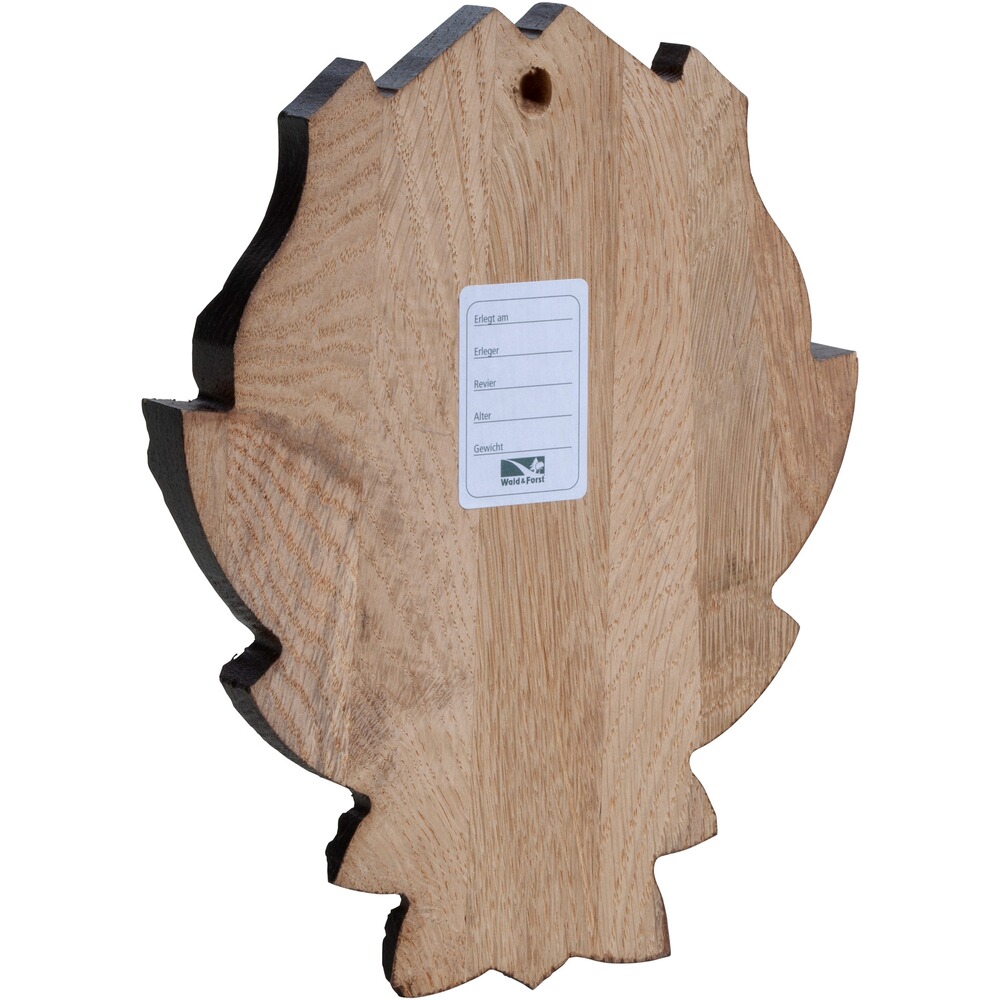 Trophäenschild Gams, Wald & Forst