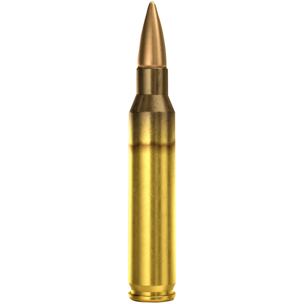 .223 Rem. FMJ 3,6g/55grs., Magtech