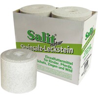 Steinsalz Leckstein, Salit