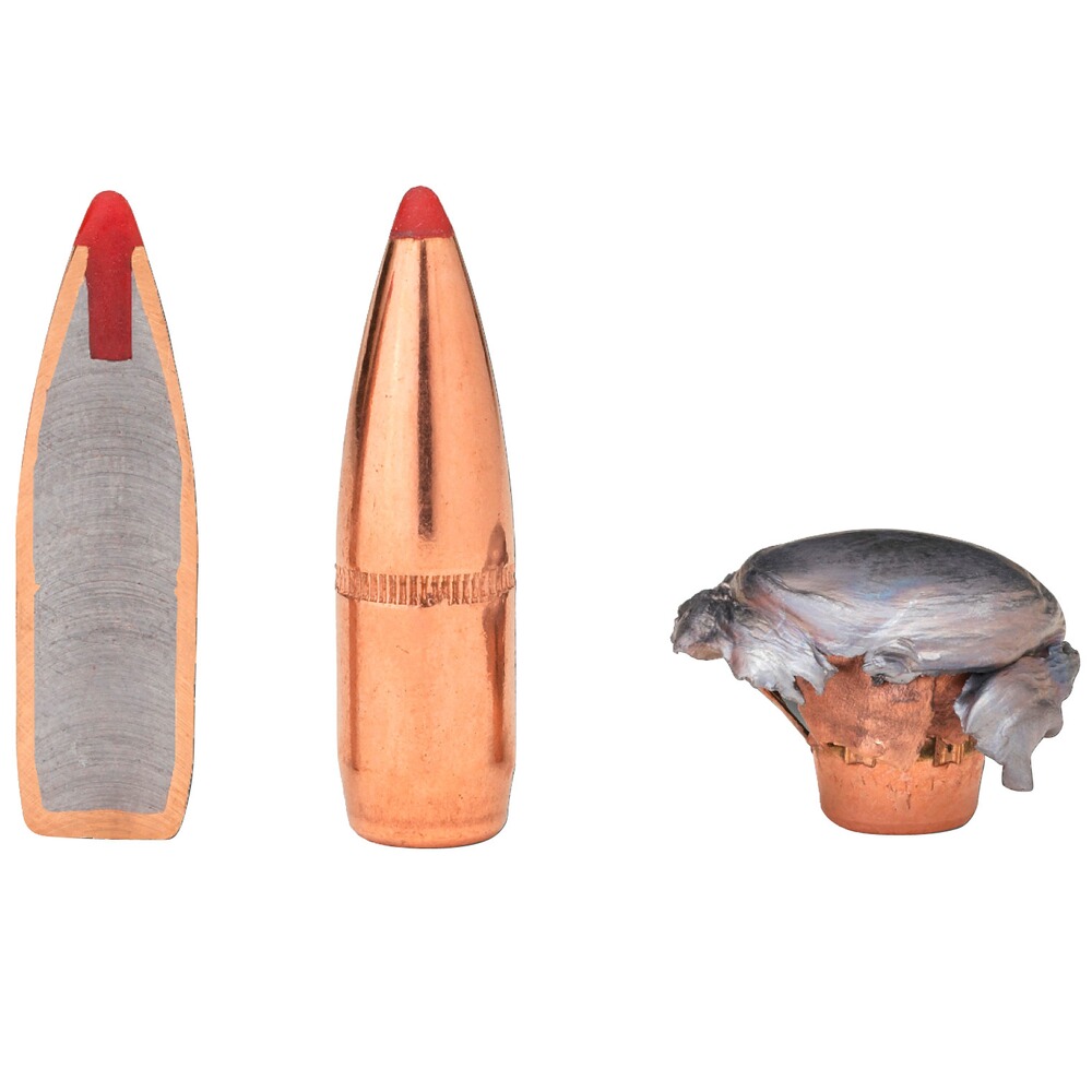 .45-70 Gov. Lever Evolution FTX 21,1g/325grs., Hornady