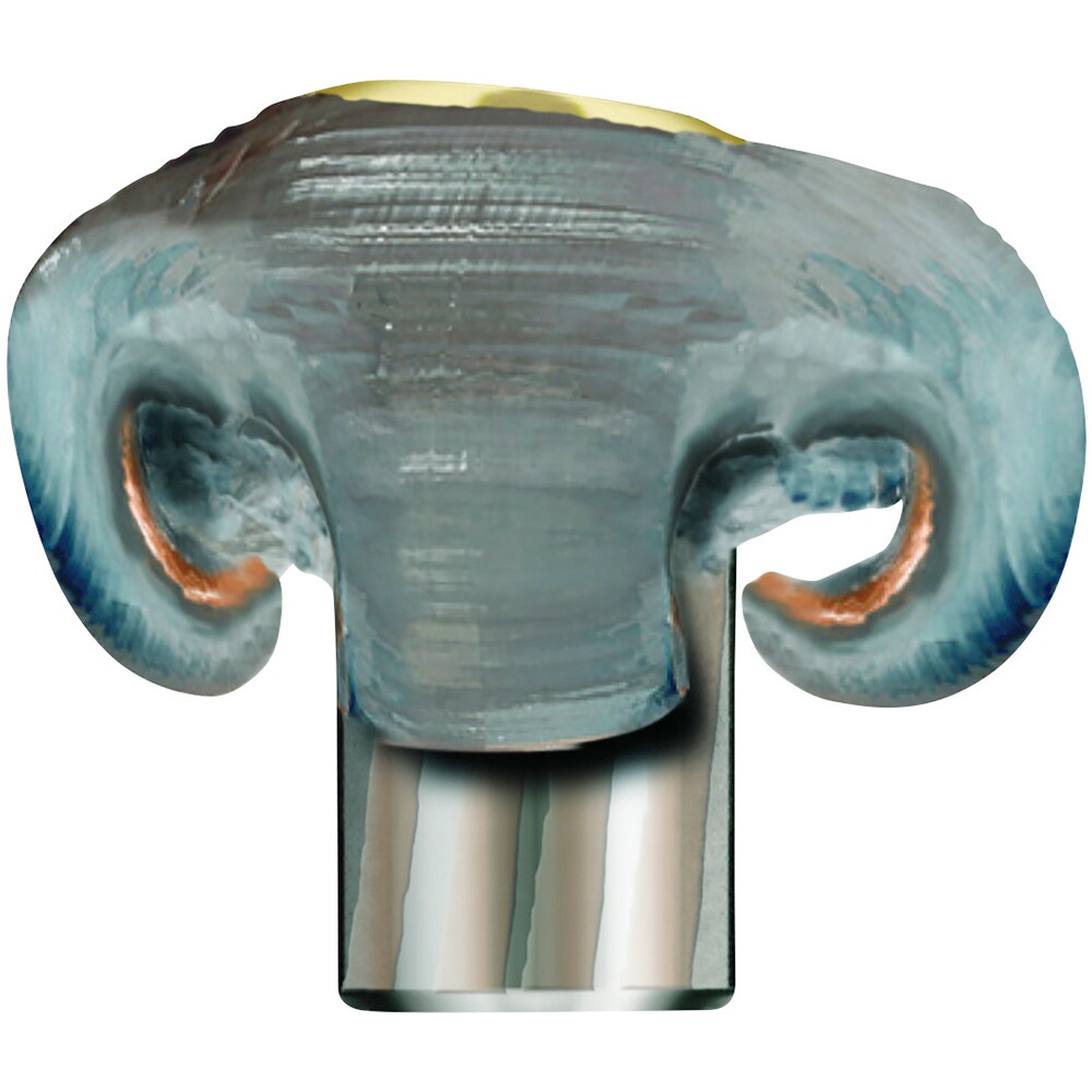 .30-06 Spr. Evolution 11,9g/184grs., RWS