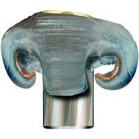 .30-06 Spr. Evolution 11,9g/184grs., RWS