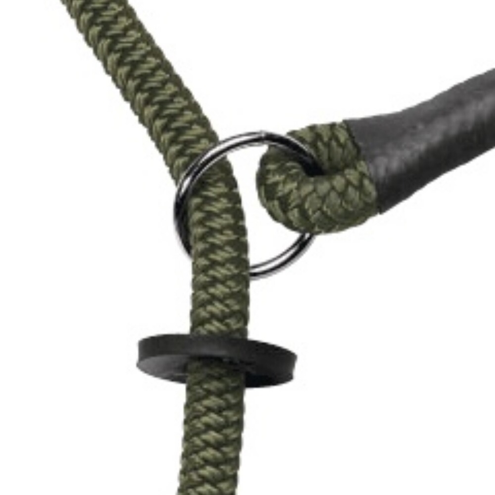 Moxon Leine Sportsman, Heim