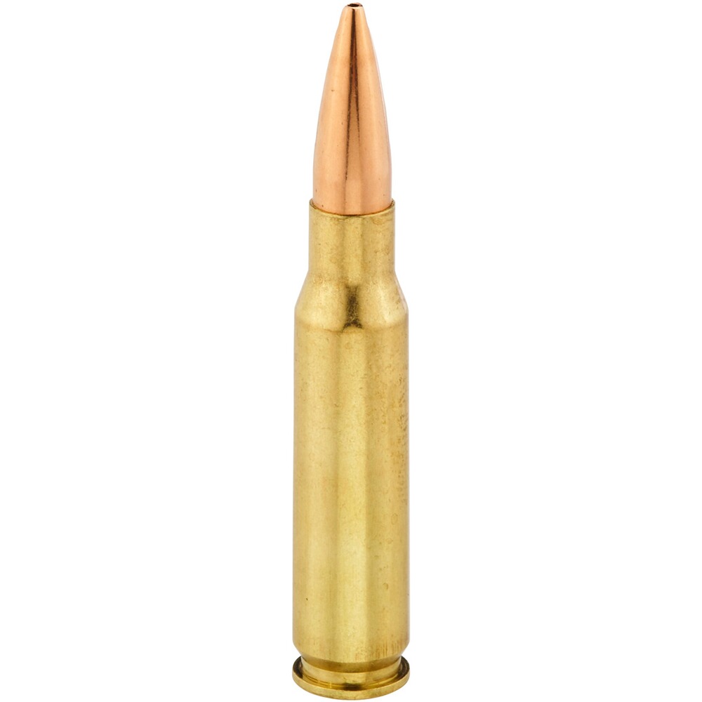 .308 Win. Match BTHP 10,9/g168grs., Hornady