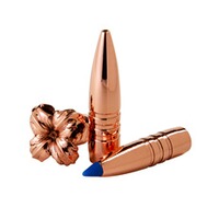 Geschosse .375 16,2g/250grs. TTSX, Barnes
