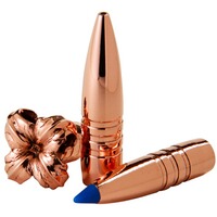 .270 Win. Vor-TX TTSX 8,5g/130grs., Barnes