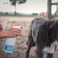 Stichfrei Animal, BALLISTOL