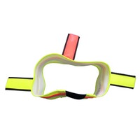 Hundesignalhalsband mit Fähnchen, Heim