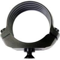 Modul Ring BASIS®, Dentler