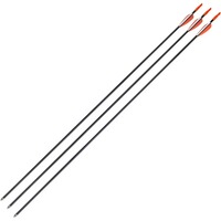 Pfeil Carbon, Black Flash Archery