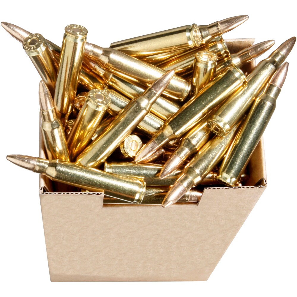 .223 Rem. Vlm BT 3,6g/55grs., Sellier & Bellot