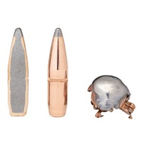 .300 Win. Mag. SP IL Interlock 11,7g/180grs., Hornady