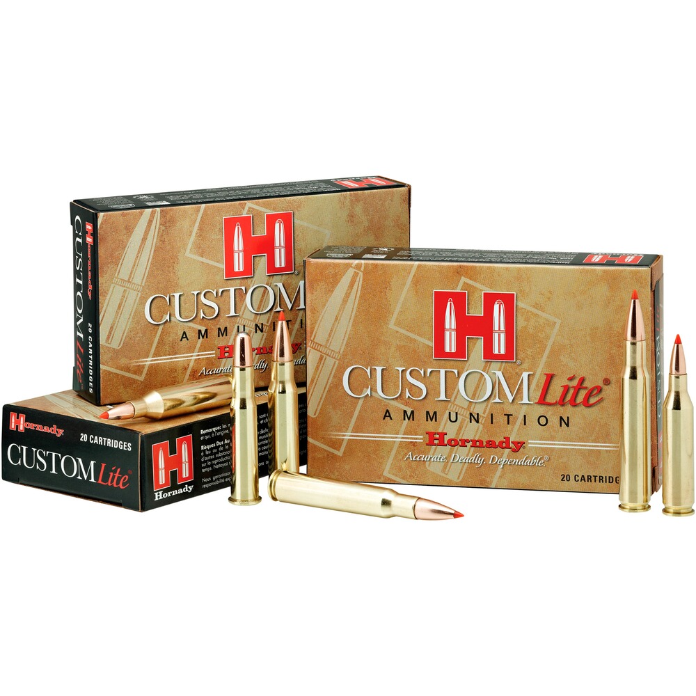.30-06 Spr. SST Lite 8,1g/125grs., Hornady