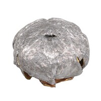 .22-250 Rem. AccuTip-V BT 3,2g/50grs., Remington