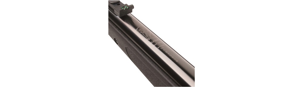 Luftgewehr Panther 350 Magnum, Diana