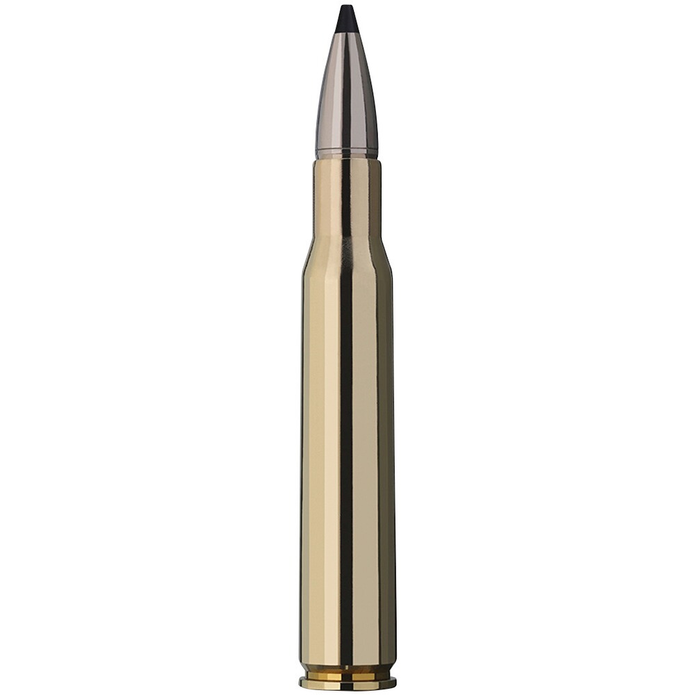 .30-06 Spr. Speed Tip Professional 10,7g/165grs., RWS
